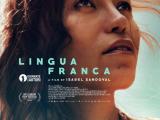 “‘Lingua Franca’ Finds Common Ground”